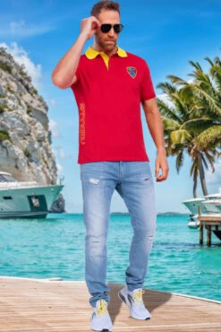 Poloshirt ALEX Herren -Nebulus Verkäufe P4981 51 KI